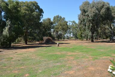 Farm For Sale - NSW - Barooga - 3644 - Prime 5029m2 Block - Pleasant Rural Outlook!  (Image 2)