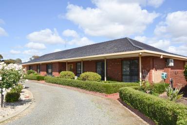 Farm For Sale - VIC - Cobram - 3644 - In-Town Rural Living - 3 Acres  (Image 2)