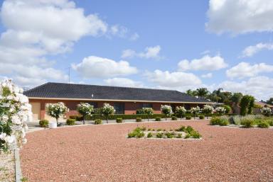 Farm For Sale - VIC - Cobram - 3644 - In-Town Rural Living - 3 Acres  (Image 2)