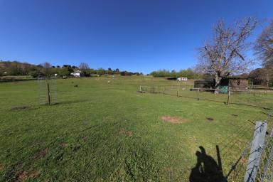 Farm For Sale - NSW - Adelong - 2729 - Beautiful Adelong Lifestyle Block  (Image 2)