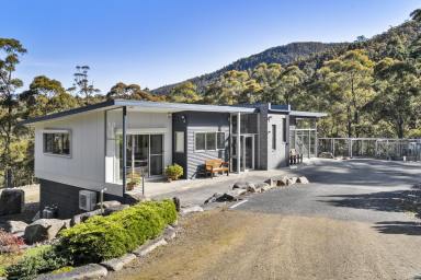 Farm For Sale - TAS - Fern Tree - 7054 - Cosy and warm, your Fern Tree retreat  (Image 2)