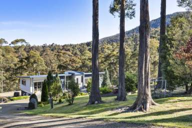 Farm For Sale - TAS - Fern Tree - 7054 - Smart, warm, architectural and energy efficient!  (Image 2)