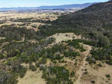 Farm For Sale - NSW - Bemboka - 2550 - BUILD YOUR DREAM HOME IN A PRIVATE SETTING  (Image 2)