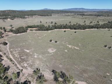 Farm For Sale - QLD - Wowan - 4702 - Narkunda and Agnew Park  (Image 2)