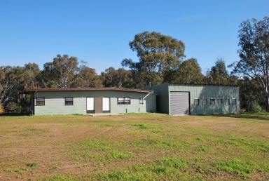 Farm For Sale - NSW - Barooga - 3644 - Something Special ~ Something Unique  (Image 2)