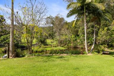 Farm For Sale - QLD - Verrierdale - 4562 - Peaceful Haven for Your Dream Lifestyle  (Image 2)