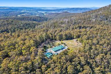 Farm For Sale - TAS - Margate - 7054 - A private bush retreat  (Image 2)