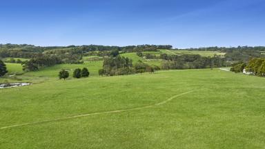 Farm For Sale - VIC - Main Ridge - 3928 - Escape to the Country: 12 Acres Just an Hour from Melbourne  (Image 2)