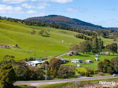 Farm For Sale - TAS - Glengarry - 7275 - A 75-Acre Rural Haven  (Image 2)