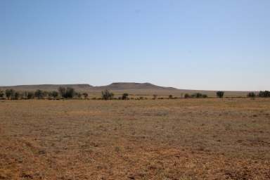 Farm Tender - NSW - Tibooburra - 2880 - Tarakan Station  (Image 2)