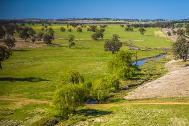 Farm For Sale - NSW - Purlewaugh - 2357 - A rare opportunity to purchase an outstanding pastoral holding  (Image 2)