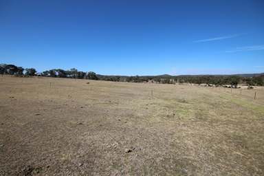 Farm For Sale - QLD - Severnlea - 4380 - RIVER FRONT BLOCK - $395,000  (Image 2)