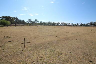 Farm For Sale - QLD - Severnlea - 4380 - RIVER FRONT BLOCK - $395,000  (Image 2)