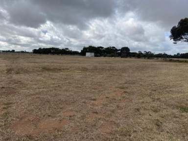 Farm For Sale - SA - Two Wells - 5501 - 1 Ha, build ready property in vibrant Two Wells. Fully fenced.  (Image 2)