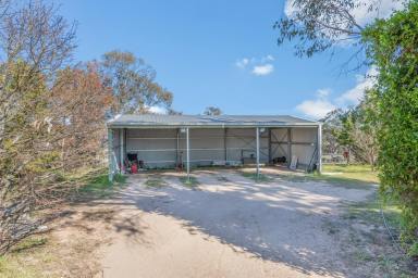 Farm Auction - NSW - Mount Rankin - 2795 - 12 Rural Acres - Horse & Lifestyle Property  (Image 2)