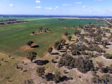 Farm For Sale - VIC - Numurkah - 3636 - Cropping/Grazing/Nature Haven - 154 Ha (380 Acres)  (Image 2)