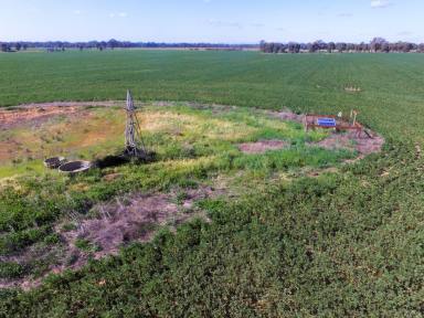 Farm For Sale - VIC - Numurkah - 3636 - Cropping/Grazing/Nature Haven - 154 Ha (380 Acres)  (Image 2)