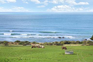 Farm For Sale - VIC - Apollo Bay - 3233 - CAPTIVATING APOLLO BAY PROPERTY  (Image 2)