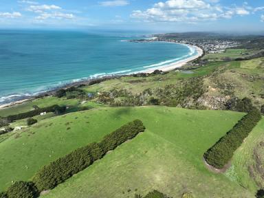 Farm For Sale - VIC - Apollo Bay - 3233 - CAPTIVATING APOLLO BAY PROPERTY  (Image 2)