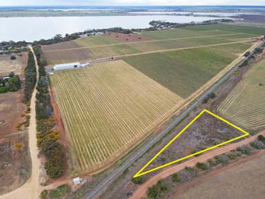 Farm For Sale - VIC - Mystic Park - 3579 - Unique Block of Land Near Kangaroo Lake  (Image 2)