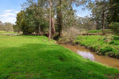 Farm Tender - VIC - Shady Creek - 3821 - "Hyde Away: The Ultimate Boys-with-Toys Getaway, with Enough Luxury to Make the Girls Want to Stay!"  (Image 2)