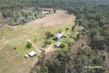 Farm For Sale - NSW - Delungra - 2403 - SPRING CREEK: SENSATIONAL VIEWS & SERENITY  (Image 2)