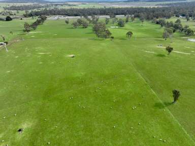 Farm For Sale - TAS - Cleveland - 7211 - Midland Highway Frontage  (Image 2)