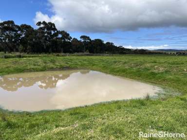 Farm Sold - WA - Youngs Siding - 6330 - Enjoy the Peace of Country Living  (Image 2)