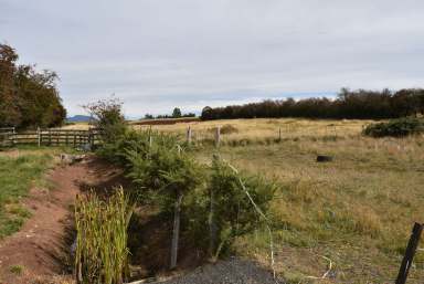 Farm For Sale - TAS - Exton - 7303 - Views to Quamby Brook  (Image 2)