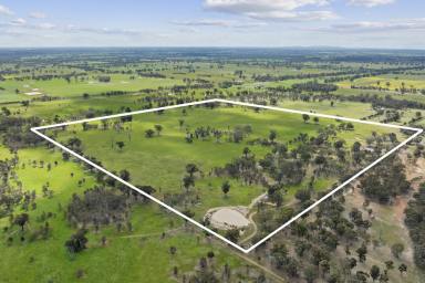 Farm For Sale - VIC - Balmattum - 3666 - A Private Lifestyle Farm With Potential To Build (STCA)  (Image 2)