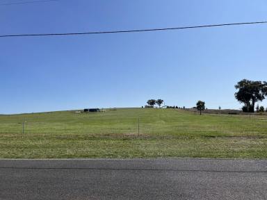 Farm For Sale - NSW - Parkes - 2870 - Prime 10-Acre Lot in Beautiful New Estate Your Dream Property Awaits!  (Image 2)