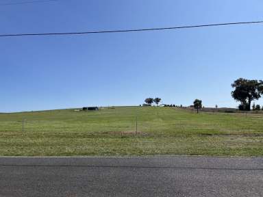 Farm For Sale - NSW - Parkes - 2870 - Prime 3-Acre Lot in Beautiful New Estate Your Dream Property Awaits!  (Image 2)