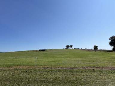 Farm For Sale - NSW - Parkes - 2870 - Prime 3-Acre Lot in Beautiful New Estate Your Dream Property Awaits!  (Image 2)