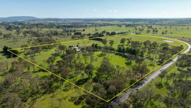 Farm For Sale - NSW - Armidale - 2350 - The Ultimate Family Resort  (Image 2)