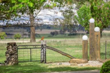 Farm For Sale - NSW - Armidale - 2350 - The Ultimate Family Resort  (Image 2)