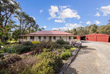 Farm For Sale - VIC - Haddon - 3351 - Gorgeous Family Home In Quiet Location  (Image 2)