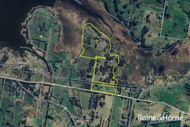 Farm For Sale - NSW - Burrawang - 2577 - Daisy Bank - 170 Pristine Burrawang Acres  (Image 2)