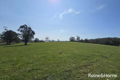 Farm For Sale - NSW - Burrawang - 2577 - Daisy Bank - 170 Pristine Burrawang Acres  (Image 2)