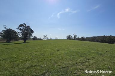 Farm For Sale - NSW - Burrawang - 2577 - Daisy Bank - 170 Pristine Burrawang Acres  (Image 2)