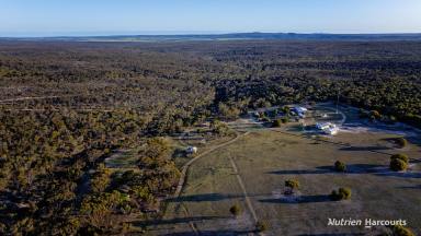 Farm For Sale - WA - Ravensthorpe - 6346 - Prime Land in Ravensthorpe Ranges  (Image 2)