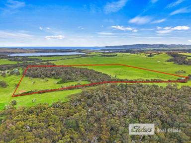 Farm For Sale - WA - Torbay - 6330 - Lush Bushland Retreat with Cottages for Additional Income Potential  (Image 2)