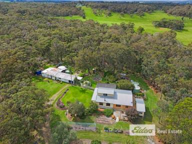 Farm For Sale - WA - Torbay - 6330 - Lush Bushland Retreat with Cottages for Additional Income Potential  (Image 2)