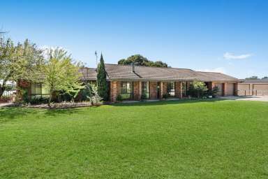 Farm For Sale - NSW - Mudgee - 2850 - Family home with so much to offer  (Image 2)