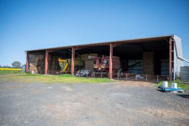 Farm For Sale - VIC - Miga Lake - 3409 - Miga Lake District! For Sale By EOI  (Image 2)