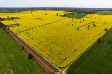 Farm For Sale - VIC - Miga Lake - 3409 - Miga Lake District! For Sale By EOI  (Image 2)