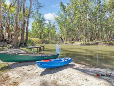 Farm For Sale - NSW - Mathoura - 2710 - Charming Four-Bedroom Home with Creek and Redgum Forest Views – Just 30 Minutes North of Echuca  (Image 2)