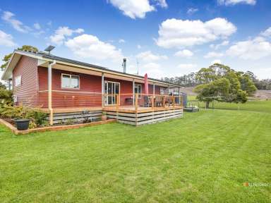 Farm For Sale - TAS - Upper Castra - 7315 - Moving to Millbell  (Image 2)