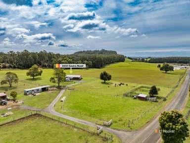 Farm For Sale - TAS - Upper Castra - 7315 - Moving to Millbell  (Image 2)