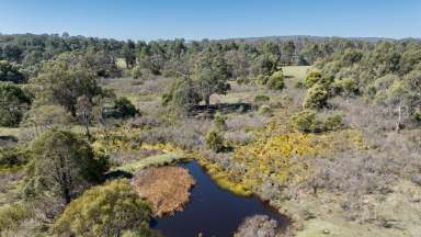 Farm Auction - VIC - Marraweeney - 3669 - "Wonganookah" Privacy-Easy access-Views- Building permit approved!  (Image 2)