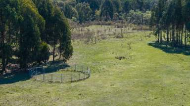 Farm Auction - VIC - Marraweeney - 3669 - "Wonganookah" Privacy-Easy access-Views- Building permit approved!  (Image 2)